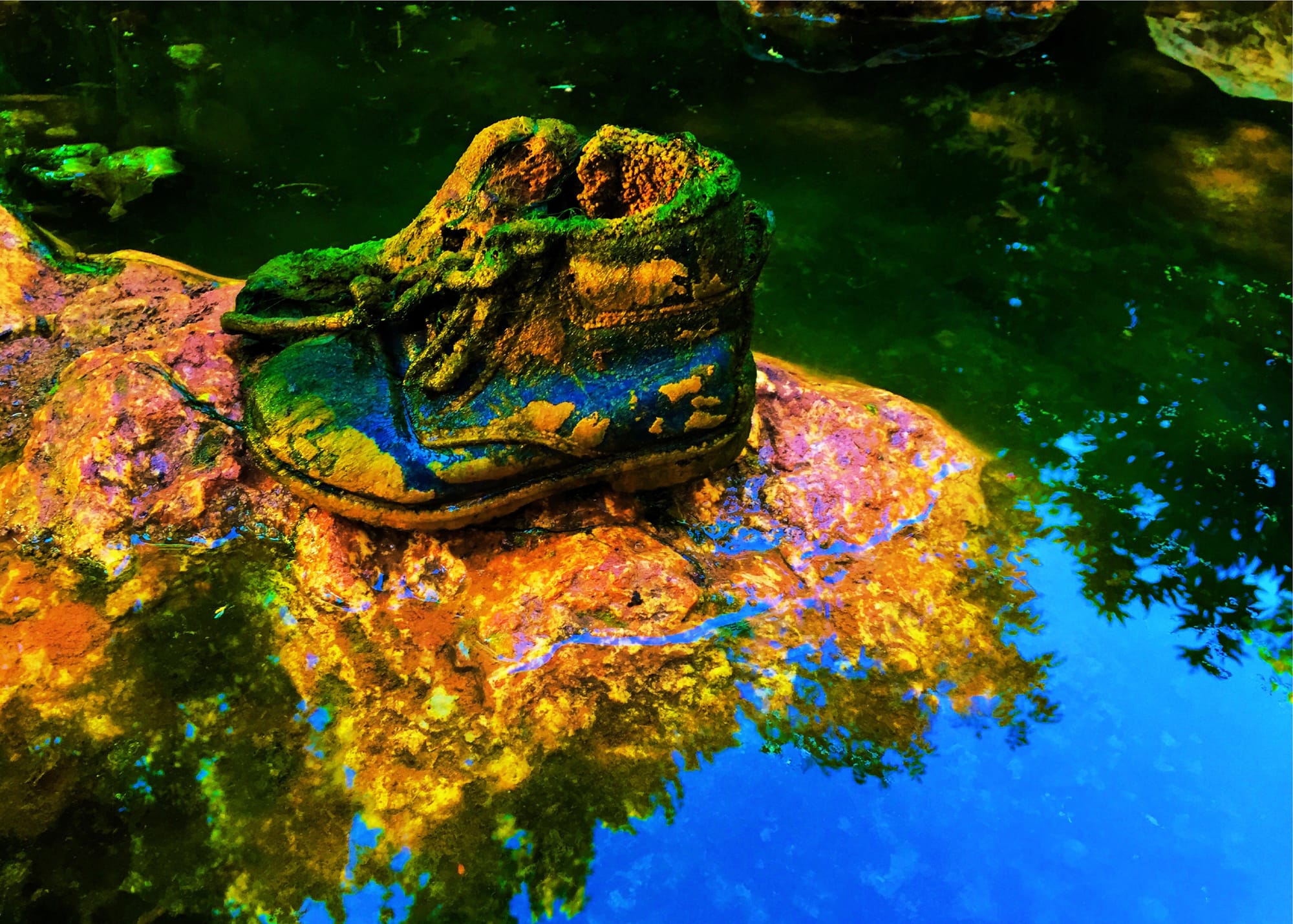 Camouflage, 2023