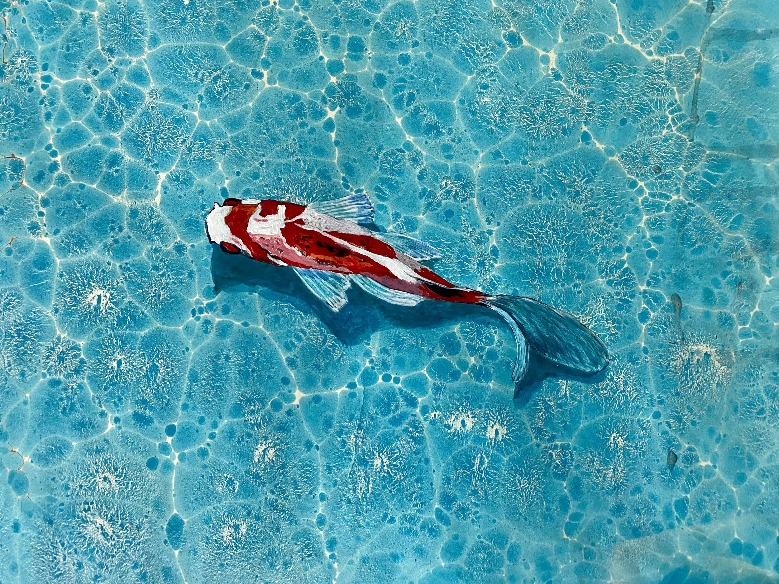 Koi Balığı — Barış Gülen, 2024
